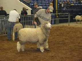 Flamekeeper at Farm Show